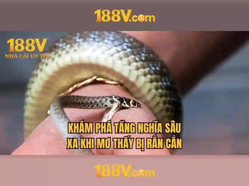 Đánh Giá 188v Có Hợp Pháp Không