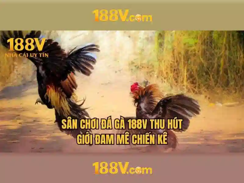 Ưu điểm đăng ký 188V