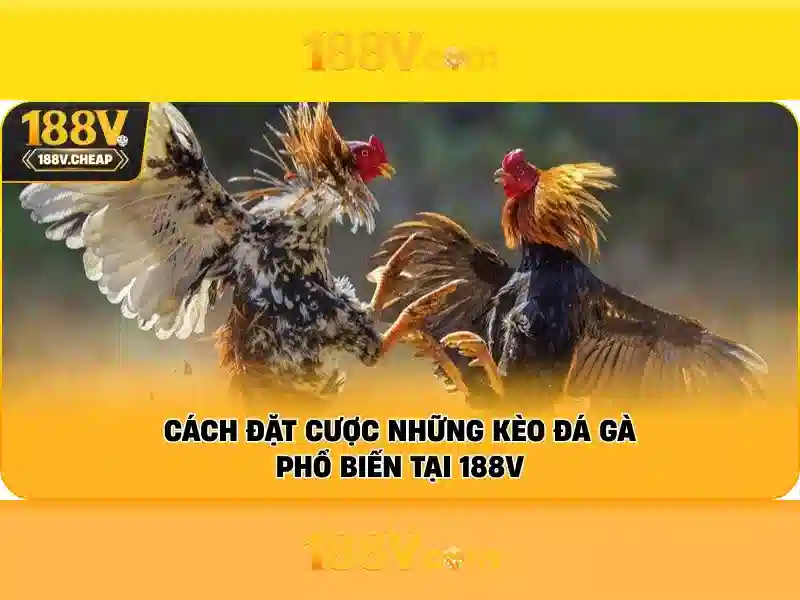 188v free khuyến mãi