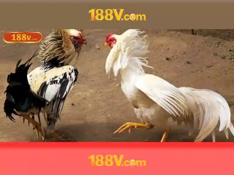 Đánh Giá 188V
