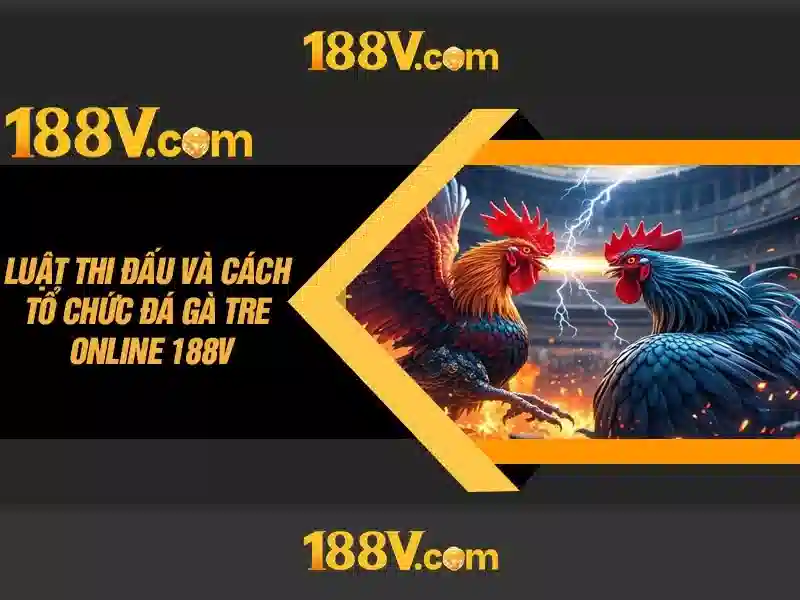 Trải nghiệm đỉnh cao