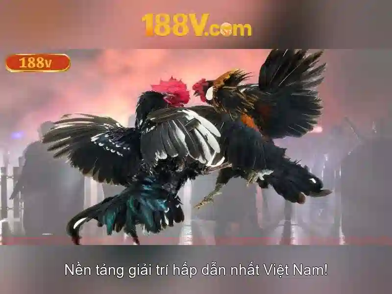 Ưu Đãi 188v