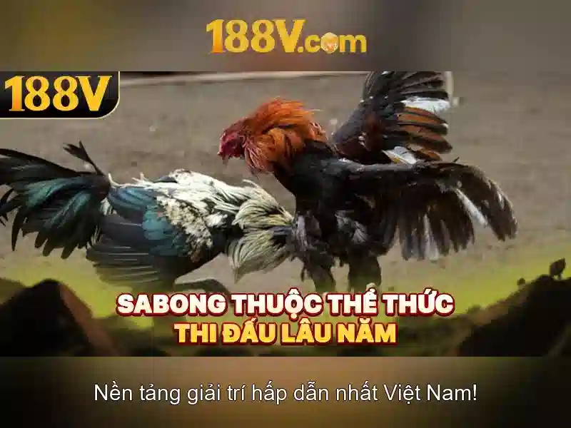 Trải Nghiệm Chơi Slot Tại 188V