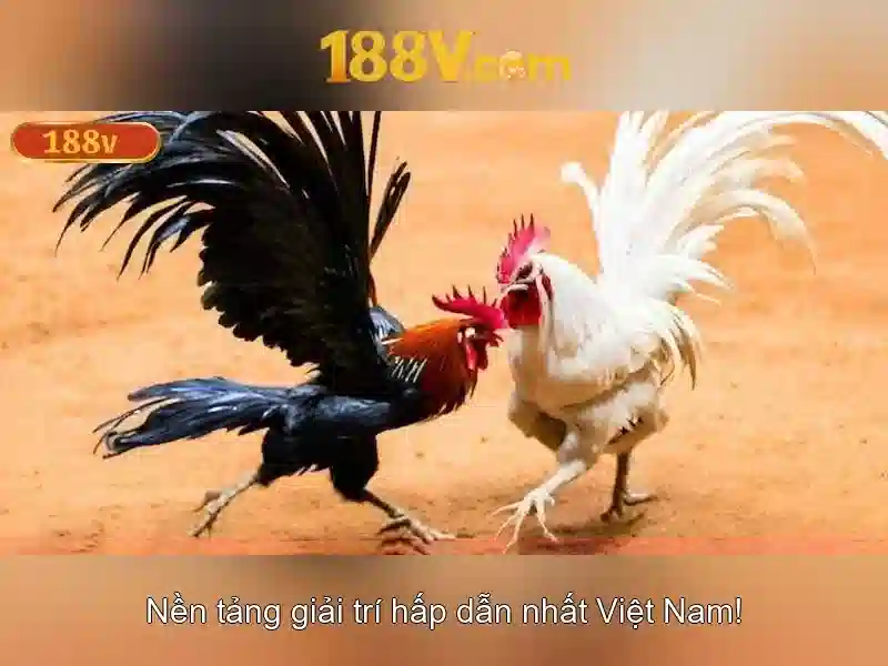 Trải nghiệm Slot Vip
