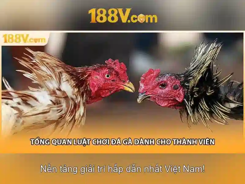 Đánh Giá 188V