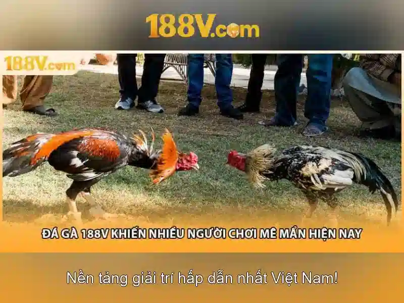 Khuyến Mãi 188V