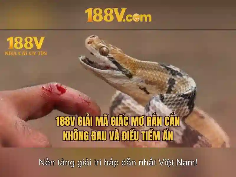Trải nghiệm 188v no hu