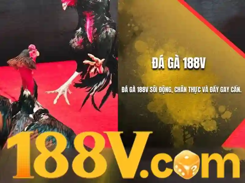 Khuyến Mãi Slot Hấp Dẫn Không Thể Bỏ Lỡ